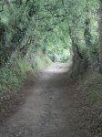 camino frances 2009 141.jpg