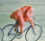 crChicken Bike.jpg