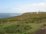 IMG_0185.jpg
