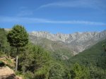 IMG_2697 [800x600].JPG