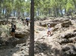 DSCN5180.jpg