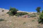 100_1243.jpg