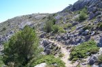 100_1245.jpg