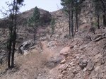 2009-07-04 16-29-50-11824_redimensionar.JPG