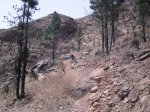 2009-07-04 16-29-54-11825_redimensionar.JPG