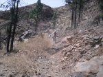 2009-07-04 16-30-32-11832_redimensionar.JPG