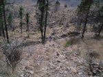 2009-07-04 16-31-42-11844_redimensionar.JPG