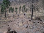 2009-07-04 17-00-08-11863_redimensionar.JPG