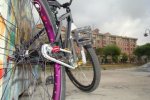 dsc07201a.jpg