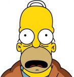 homer-simpson[1].JPG
