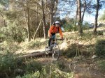 DSC03618.jpg