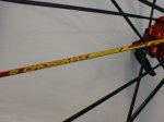 DSC00345.jpg