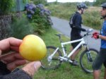 79Fruta3.JPG