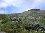 DSCN4067 (Large).JPG