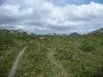 DSCN4075 (Large).JPG