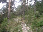 Foto3.JPG