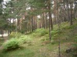 Foto6.JPG