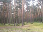 Foto7.JPG