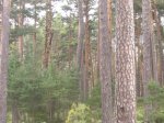 Foto8.JPG