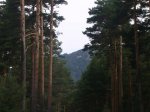 Foto9.JPG