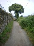 camino frances 2009 149.jpg