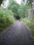 camino frances 2009 152.jpg