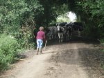 camino frances 2009 156.jpg