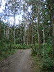 camino frances 2009 160.jpg