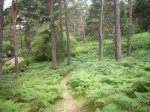 Foto11.JPG