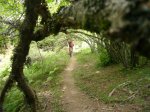 Foto12.JPG