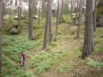 Foto14.JPG