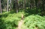 Foto24.JPG