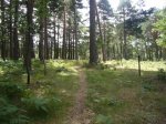 Foto25.JPG