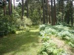 Foto26.JPG