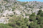 100_1253.jpg