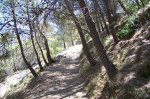 100_1262.jpg