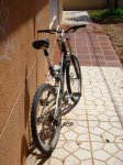 DSC04766.jpg