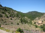 m_IMG_8992.jpg