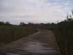P7080007.JPG