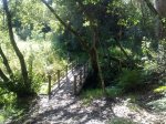 06072009028.jpg