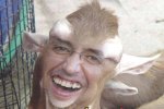oveja.jpg