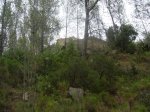 DSCN2314.JPG