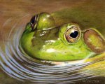froggy%20122806.jpg