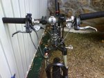 DSC01380.jpg