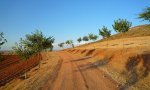 Imagen 046.jpg