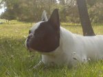 DSC00059.jpg
