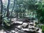 DSC02595.jpg