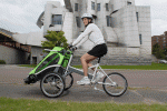 zigo1.gif