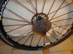 DSC00361.jpg
