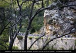 tdf09st05-protect[1].jpg